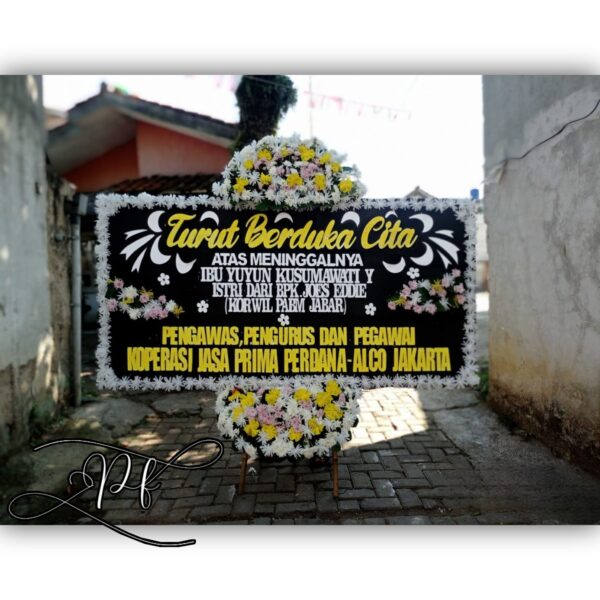 DKC 2x1 Blckk