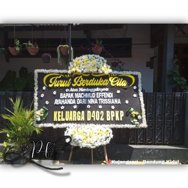 DKC ELEGAN (1)
