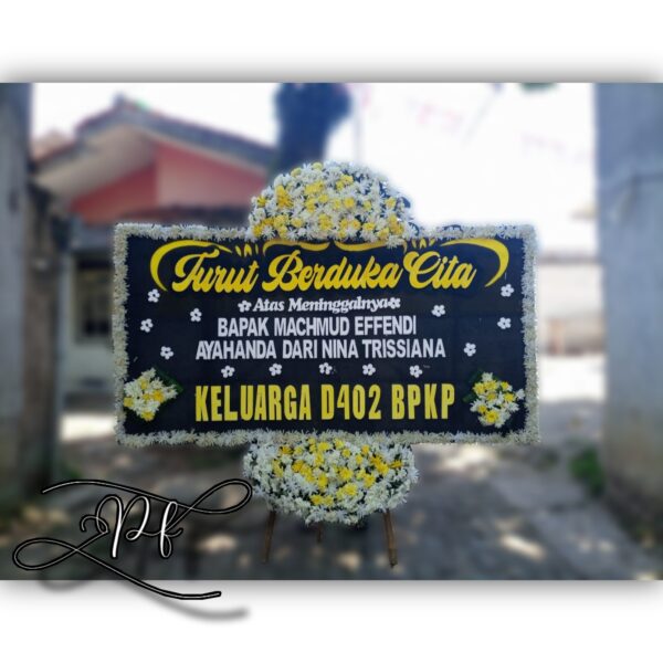 DKC ELEGAN (2)