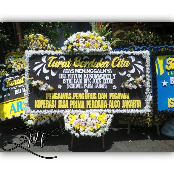 dkc blck (1)