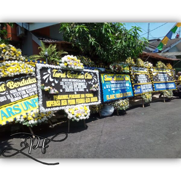 dkc blck (2)